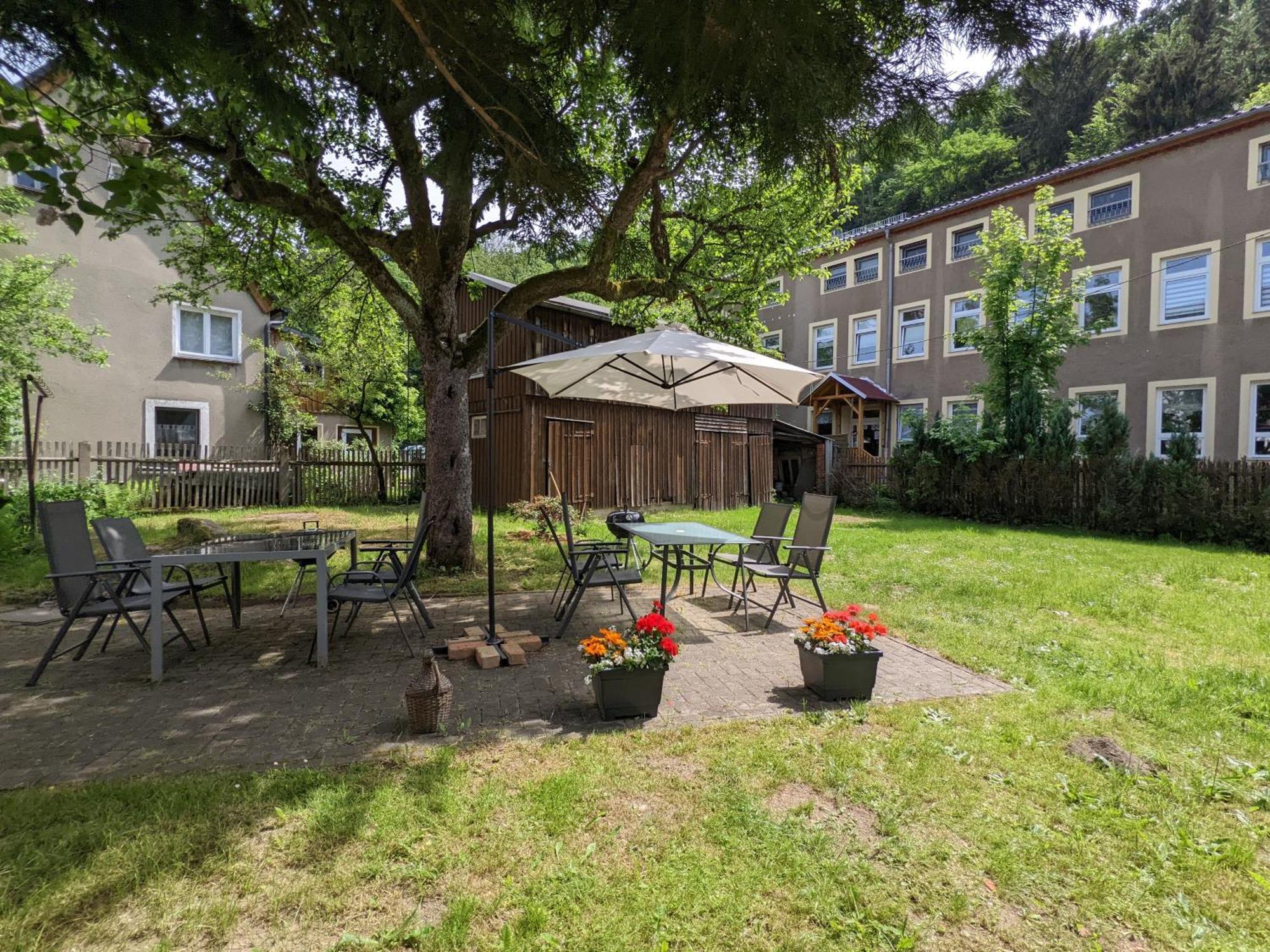 Helle gemütliche Wohnung mit Terrasse und Pool - H2 Sebnitz Exterior foto