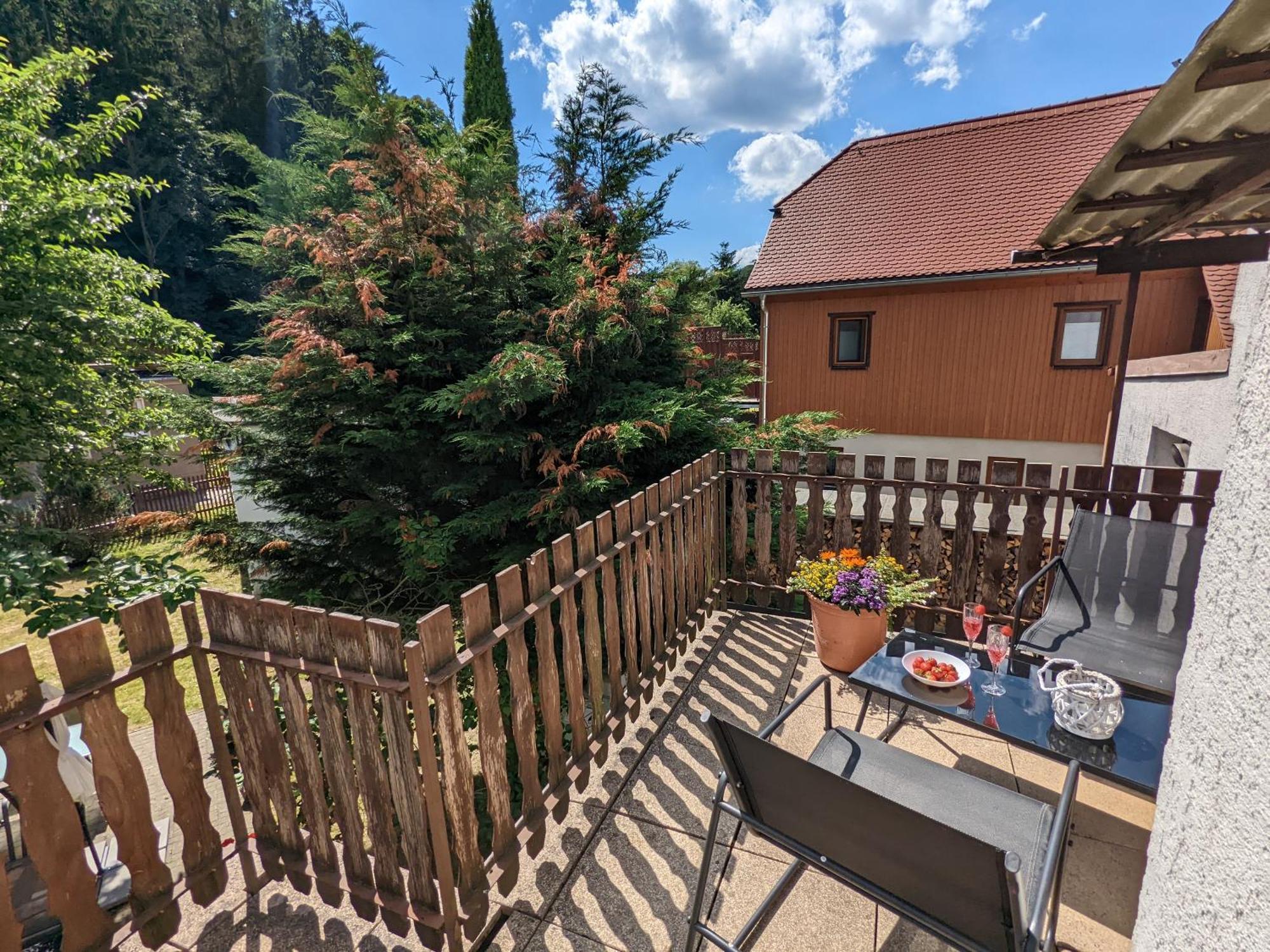 Helle gemütliche Wohnung mit Terrasse und Pool - H2 Sebnitz Exterior foto