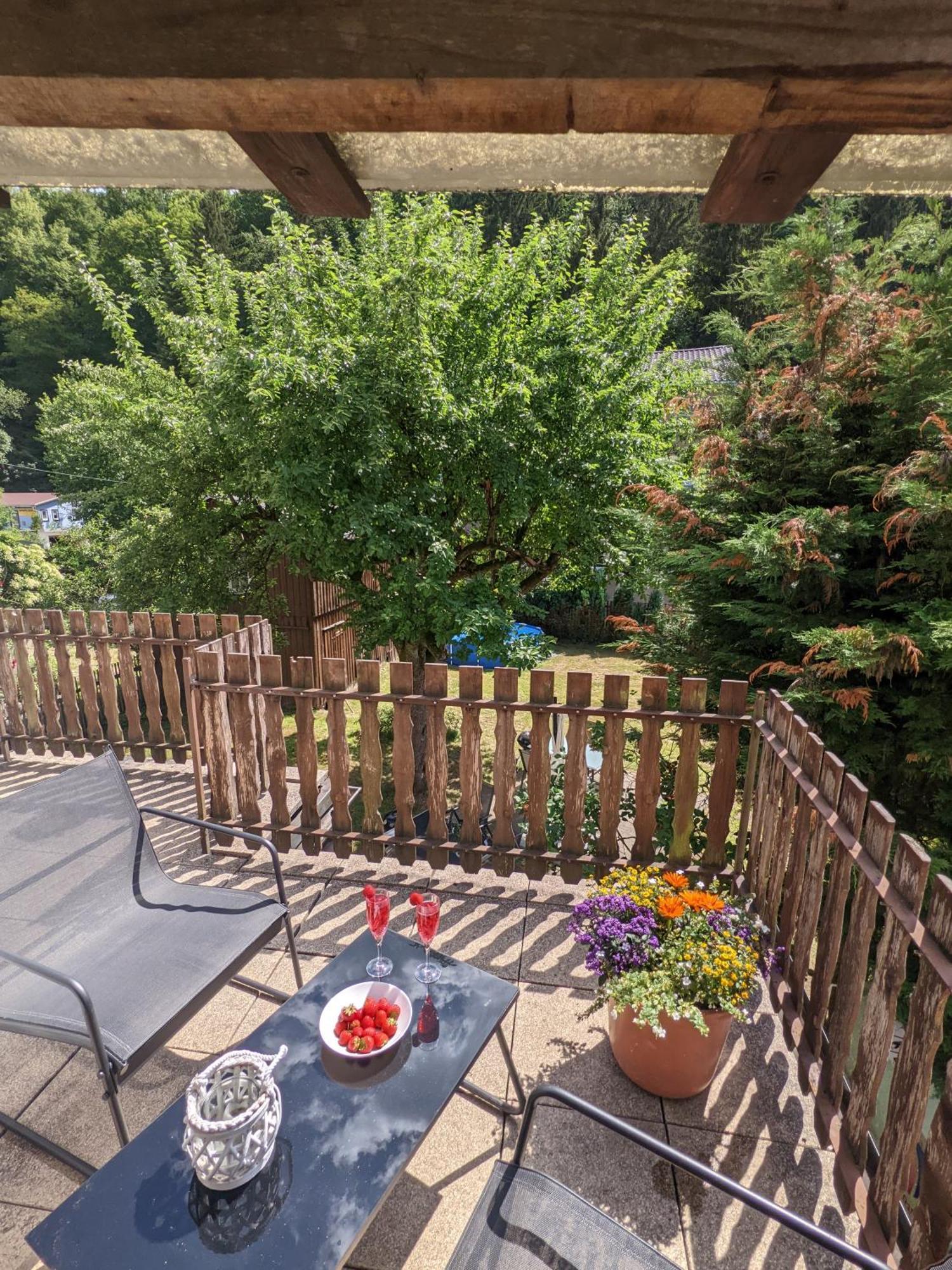 Helle gemütliche Wohnung mit Terrasse und Pool - H2 Sebnitz Exterior foto