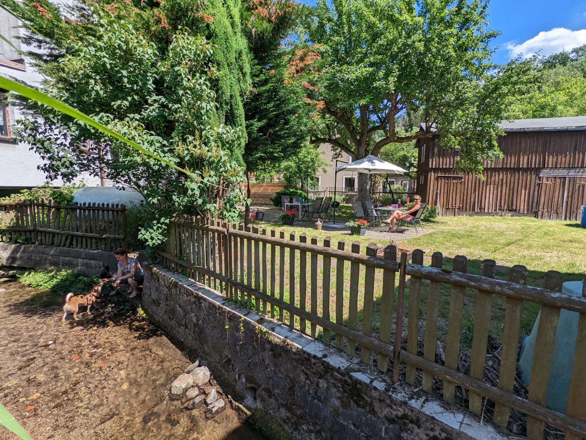Helle gemütliche Wohnung mit Terrasse und Pool - H2 Sebnitz Exterior foto