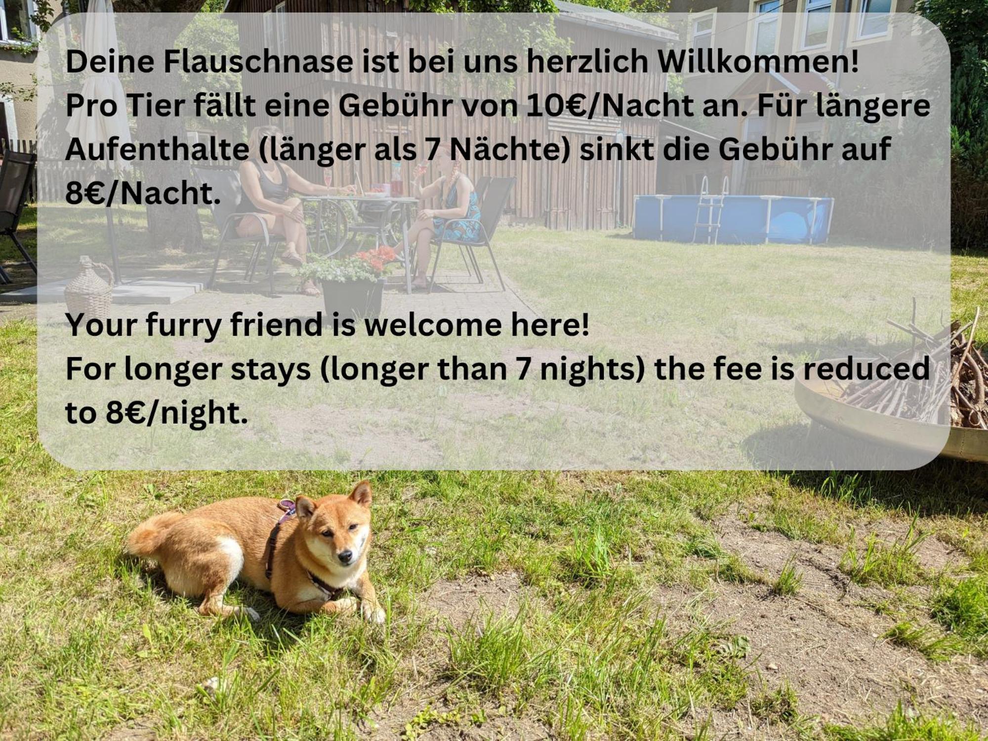 Helle gemütliche Wohnung mit Terrasse und Pool - H2 Sebnitz Exterior foto